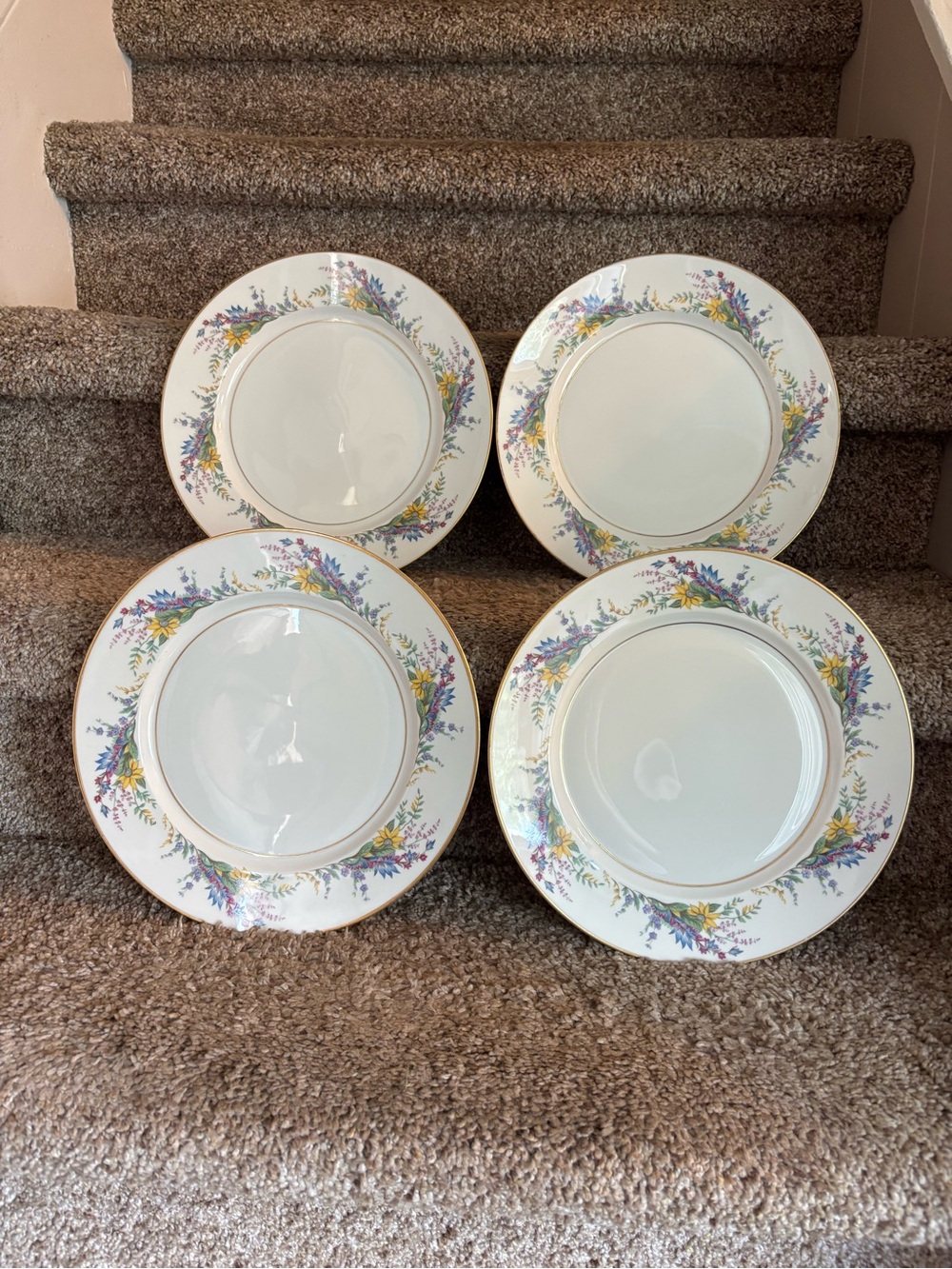 Arcadian dinner plates